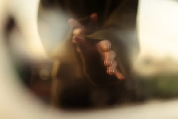 Kazino Royal Slots Pagalba